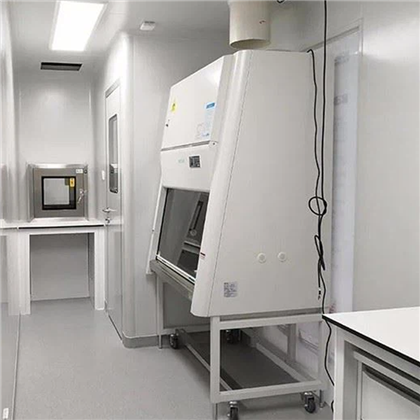 Mobilno zaznavanje RNA laboratorij za mobilno laboratorij za hitro odkrivanje PCR